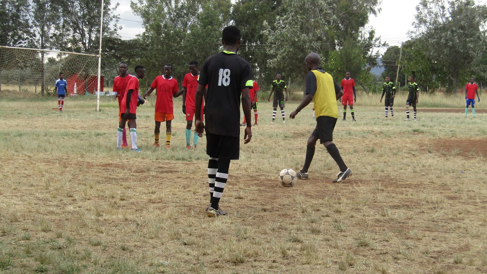 a football training session on a grass pitch